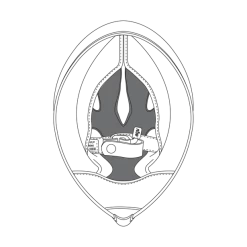 AGV Corsa R/Veloce Zwart Verwijderbare Wangkussen 20kit6120